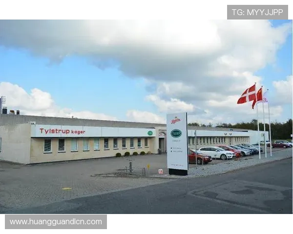 探秘皇冠旗下平台背后的核心优势与行业竞争力分析