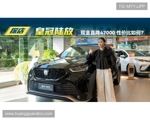 皇冠新现金的技术保障体系，确保每一笔交易都安全可靠